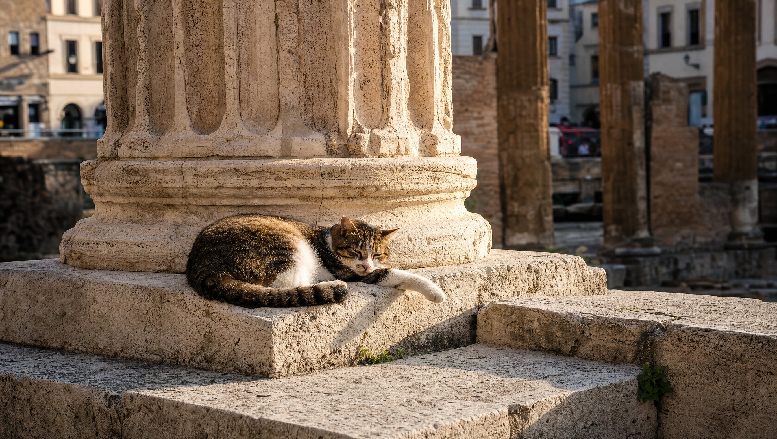 Largo di Torre Argentina a Roma - Colonne dei templi repubblicani e colonia felina