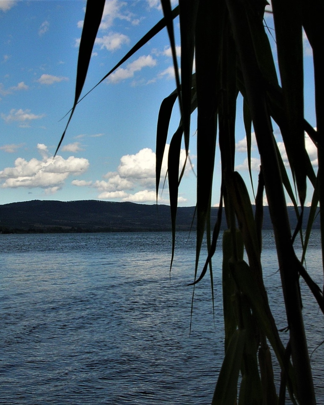 Cosa vedere nella Tuscia viterbese in un weekend: itinerario on the road tra borghi, terme e natura